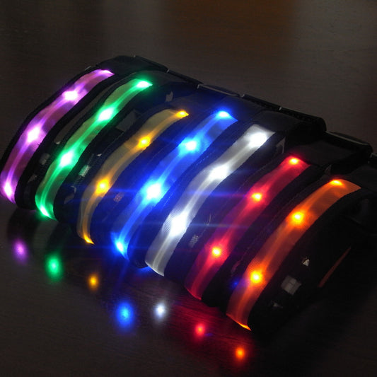LED Light-Up Dog Collar - Flashing Safety Collar For Night Walks